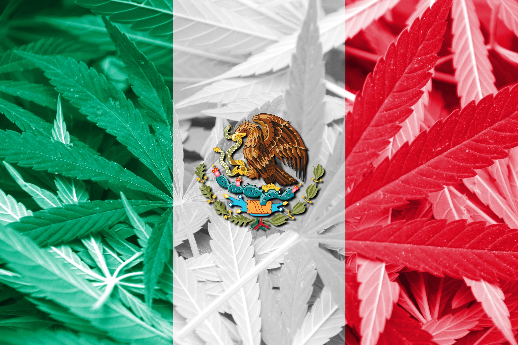 Here’s why marijuana still isn’t legal in Mexico (but could be soon)