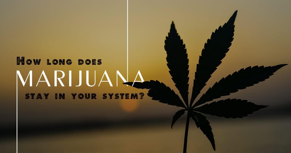 How Long Does Marijuana Stay In Your System