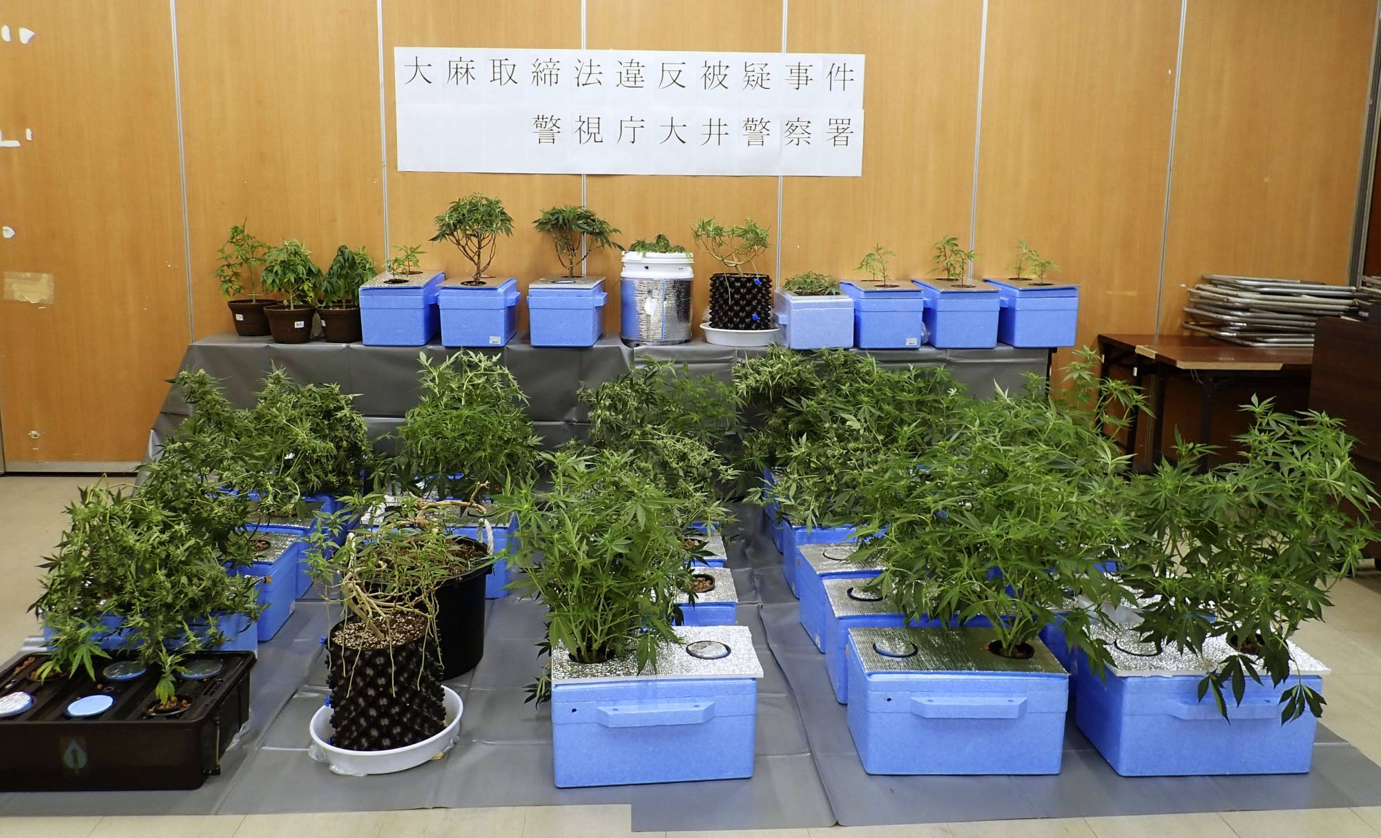 Japanese Police Enlist Video Game Lawyer To Fight Youth Marijuana Use