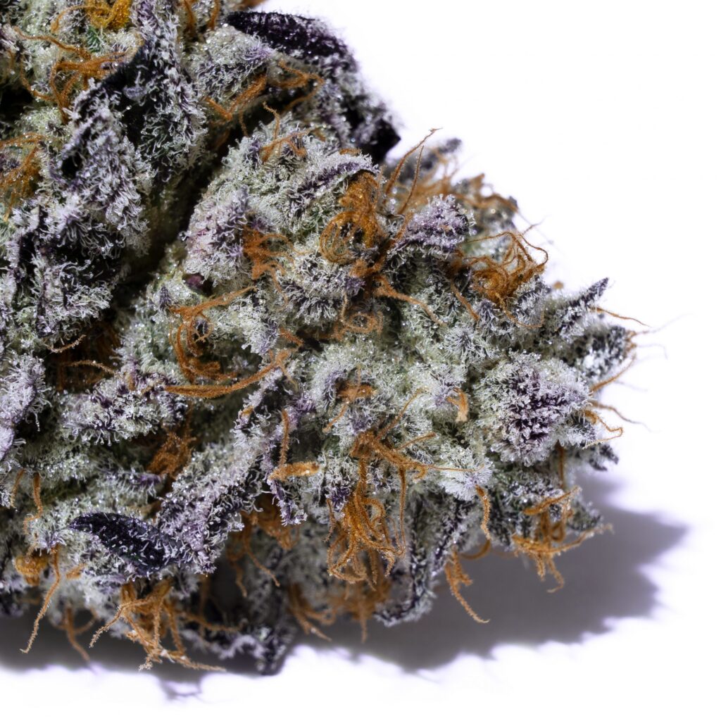 Oreoz Cannabis Strain Review and Information Best Pot Delivery