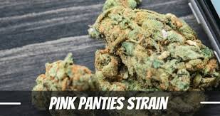 Pink Panties Strain Information and Review