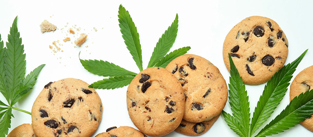 Searching for Delectable Edibles in the GTA? Candelivery provides exact same day!