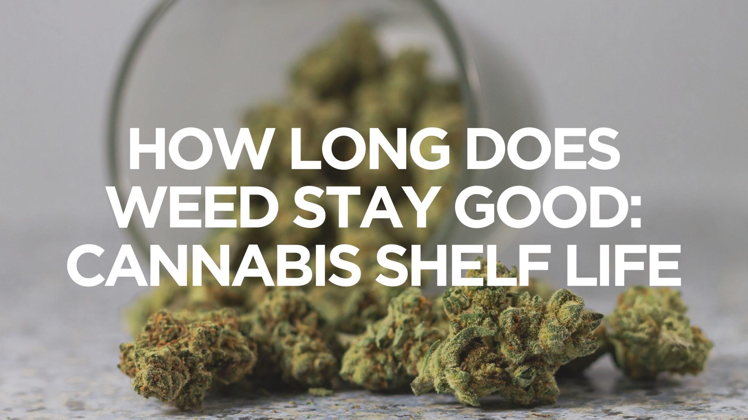 Does weed stay good? Does weed last?