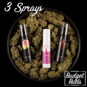 BUDGET BUDS COUPON for MIX & MATCH 3 SPRAYS