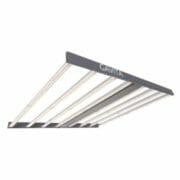 Cannabis Coupon For 5% OFF GAVITA PRO- Get Coupon