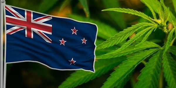 Stealth Delivery of Marijuana to New Zealand