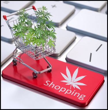 SHOPPING FOR CANNABIS IN PERSON OR ONLINE