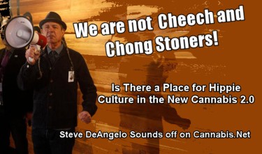 WE ARE NOT CHEECH AND CHONG STONERS