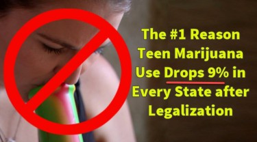 WHY TEENS STOP USING CANNABIS AFTER LEGALIZATION