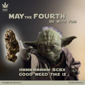 FREE 1g Shrooms or Mystery Strain Pre-roll with purchase over 0