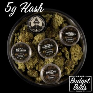 BUDGET BUDS COUPON for 20% OFF MIX MATCH 5G HASH
