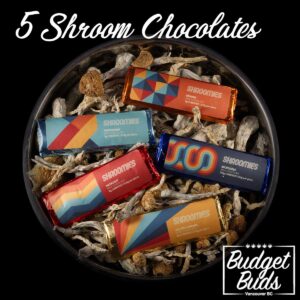 BUDGET BUDS COUPON for 20% OFF MIX & MATCH 5 MUSHROOM CHOCOLATES