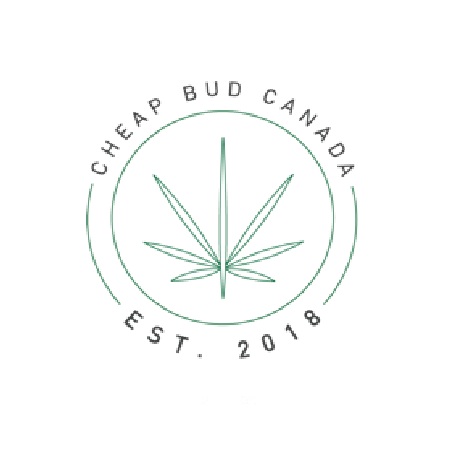 10% DISCOUNT WITH YOUR PURCHASE