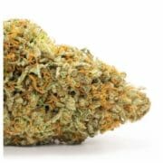 Cannabis Coupon For 46% OFF 28G CRITICAL MASS